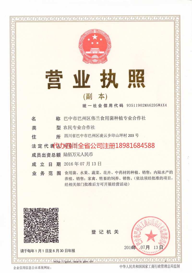 华阴华阴伟兰食用菌种植专业合作社